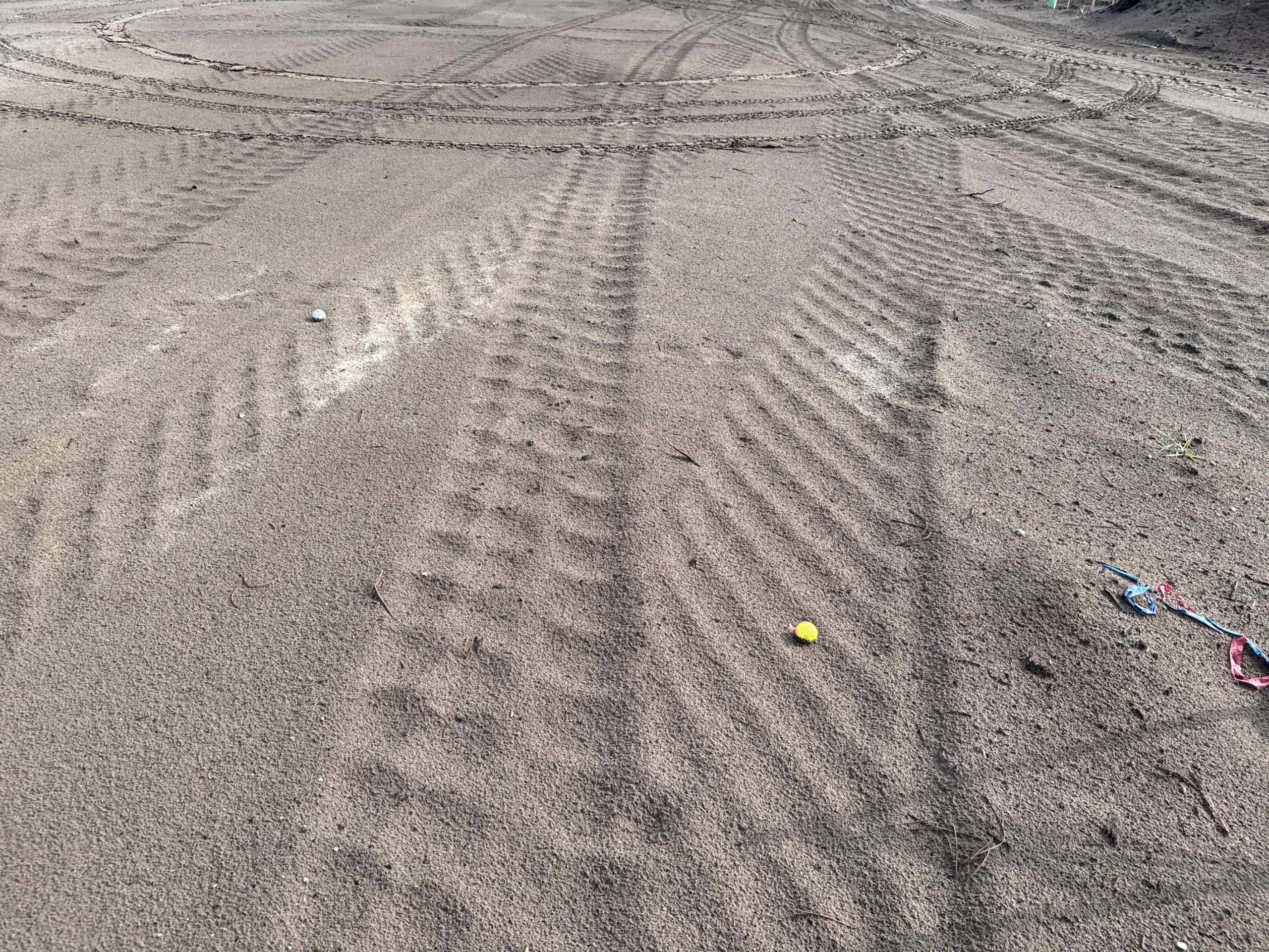 DISCUSS PLAN FOR GOLF BALLS-