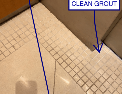 LIGHT COLORED FLOOR TILE GROUT WON’T STAY LIGHT COLORED FOR LONG…